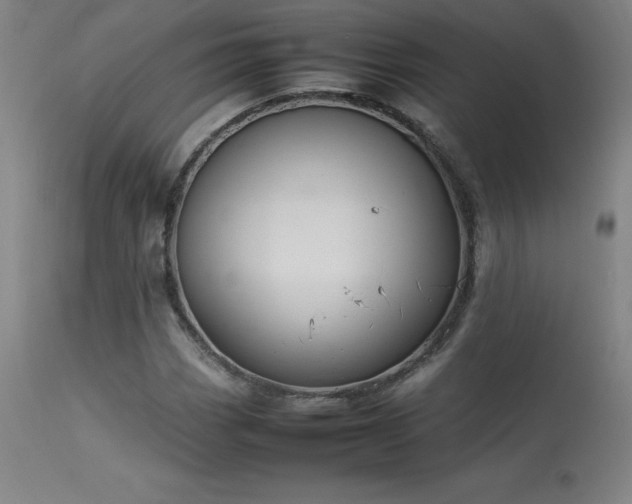 X0000113371113200909221216