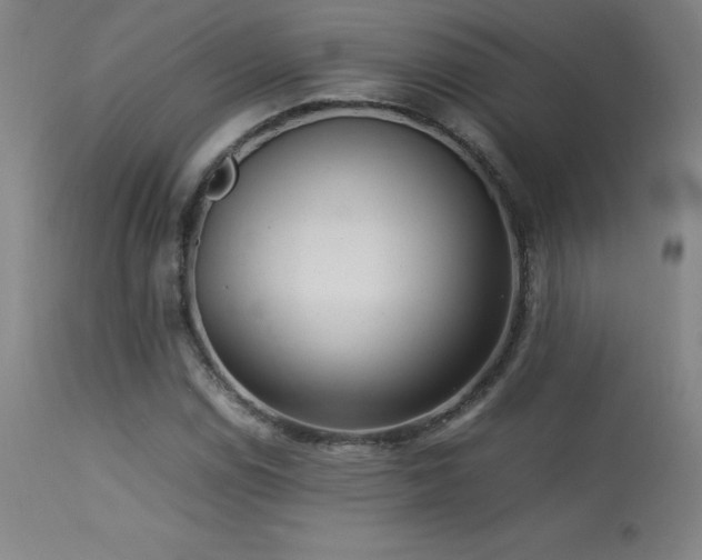 X0000113371114200909221216