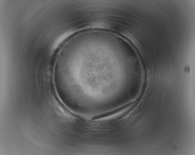 X0000113371115200909221216