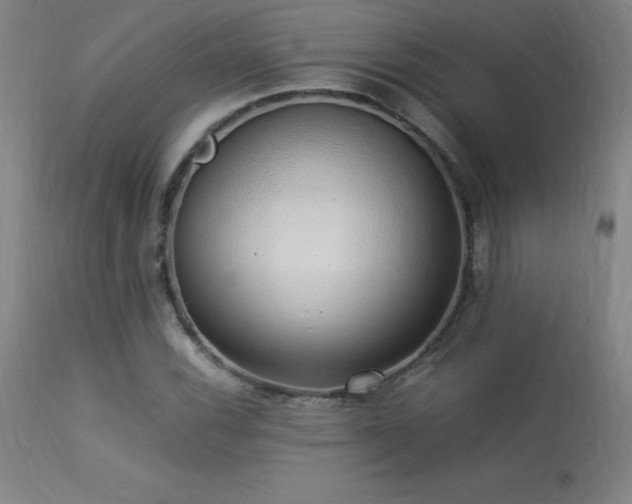 X0000113371116200909221216