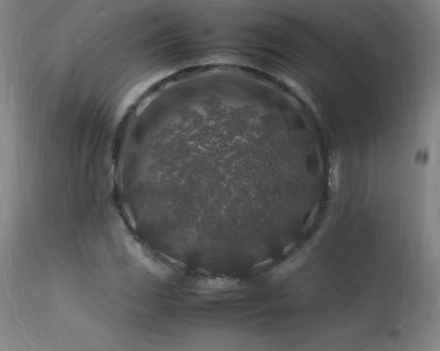 X0000113371117200909221216