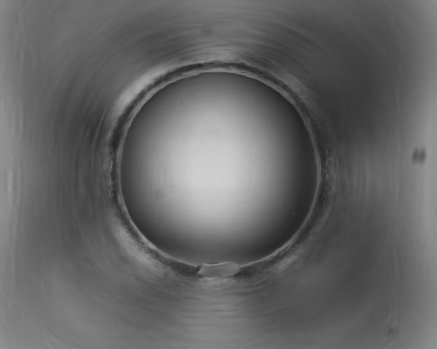X0000113371118200909221216