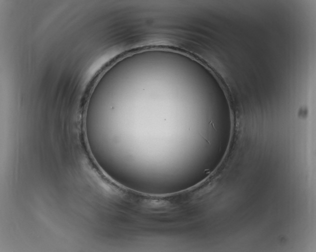 X0000113371119200909221216