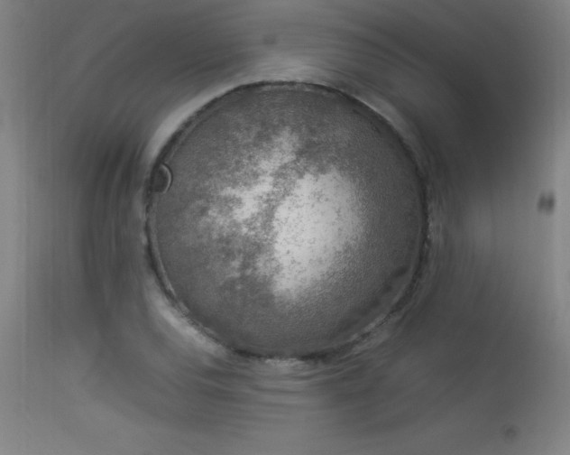 X0000113371120200909221216