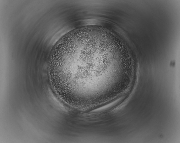 X0000113371121200909221216