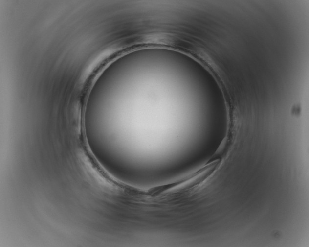 X0000113371123200909221216