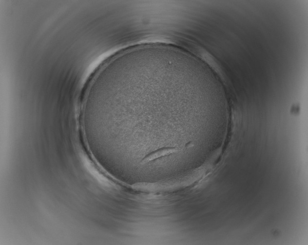 X0000113371124200909221216