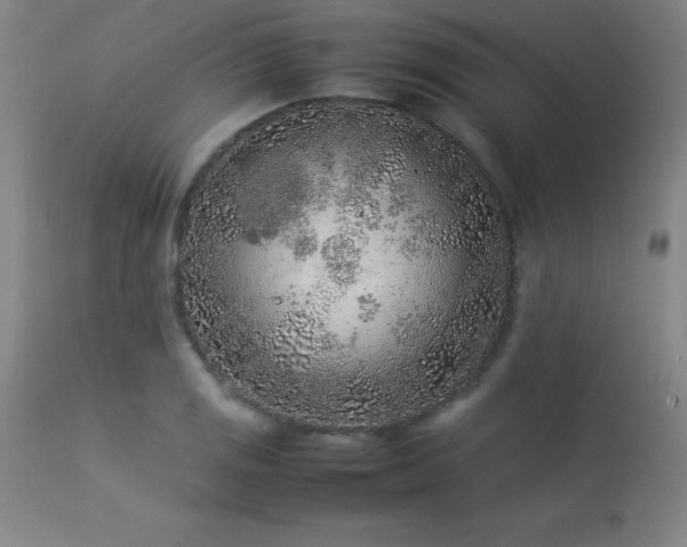 X0000113371125200909221216