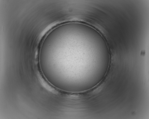 X0000113371126200909221216