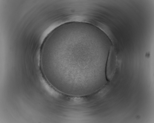 X0000113371128200909221216