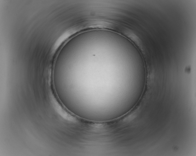 X0000113371130200909221216