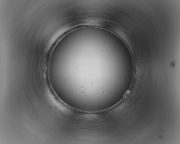 X0000113371131200909221216