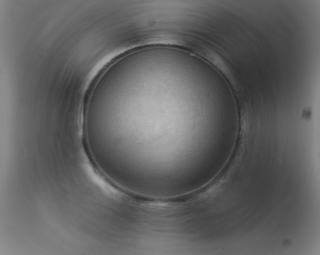 X0000113371132200909221216
