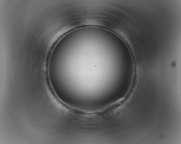 X0000113371133200909221217