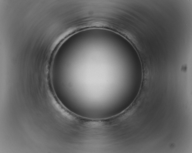 X0000113371134200909221217