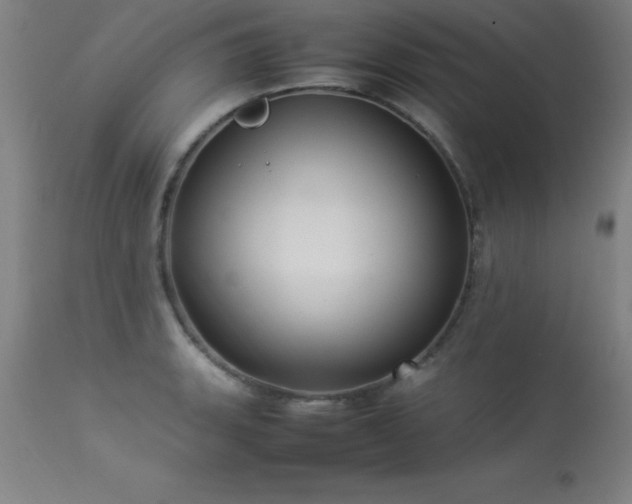X0000113371135200909221217
