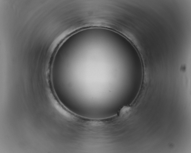 X0000113371136200909221217