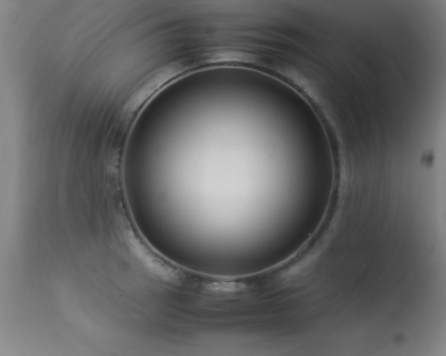 X0000113371137200909221217
