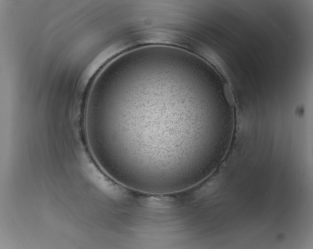 X0000113371138200909221217