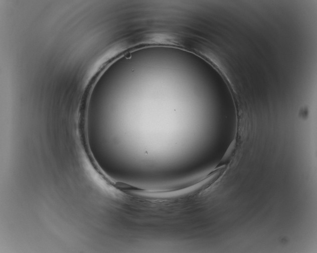 X0000113371139200909221217