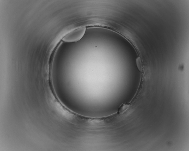 X0000113371140200909221217