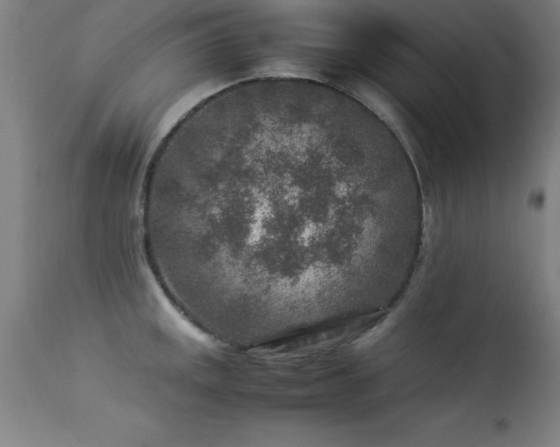 X0000113371141200909221217