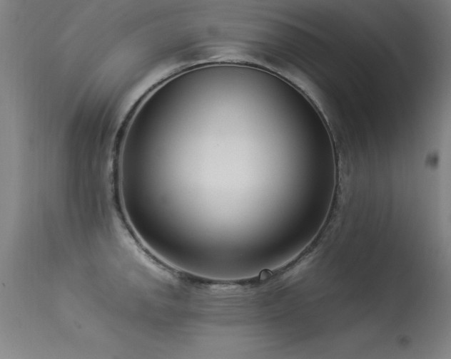 X0000113371142200909221217