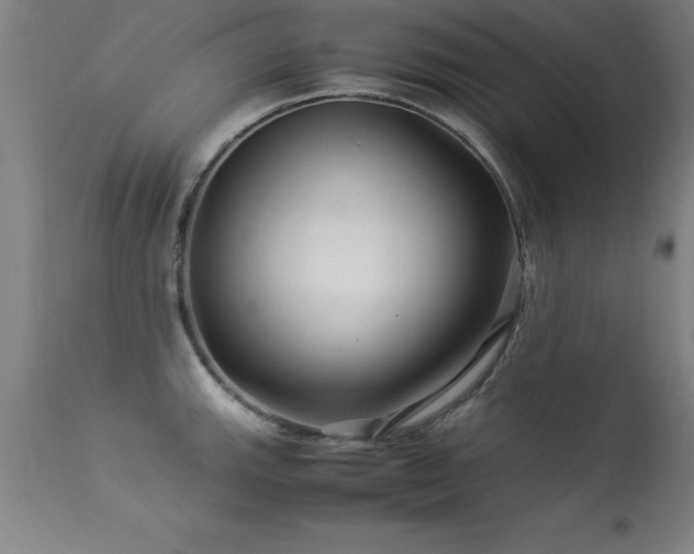X0000113371143200909221217