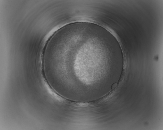 X0000113371144200909221217