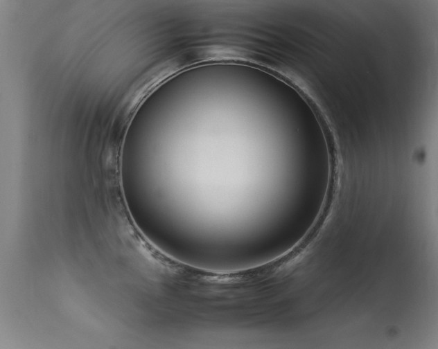 X0000113371145200909221217