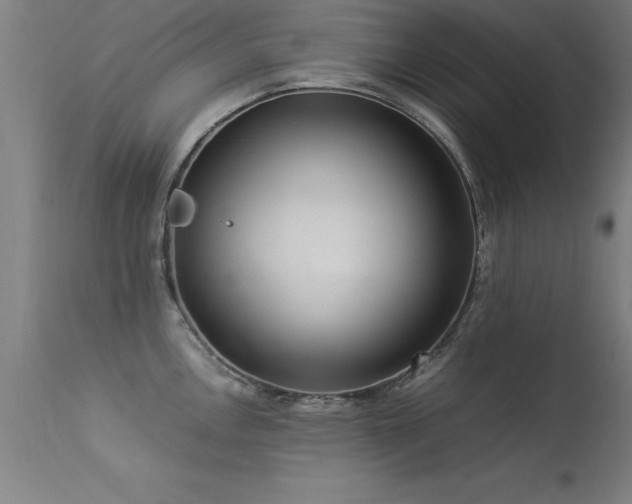 X0000113371146200909221217