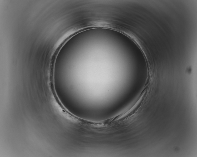 X0000113371147200909221217