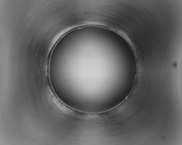 X0000113371148200909221217