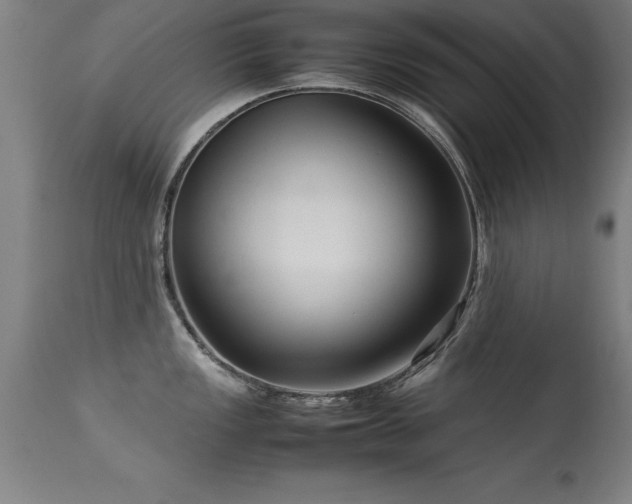 X0000113371149200909221217