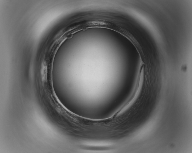 X0000113371151200909221217