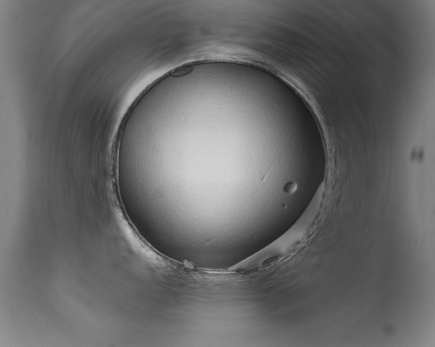 X0000113371152200909221217