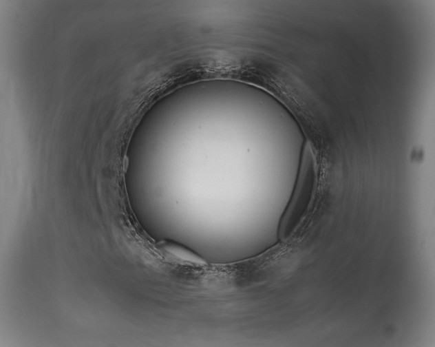 X0000113371153200909221216