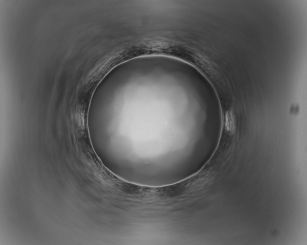 X0000113371155200909221216