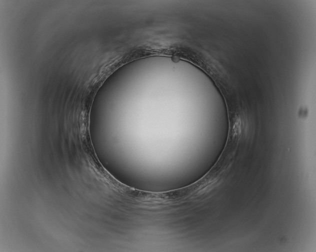 X0000113371156200909221216