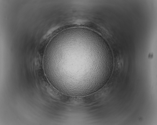 X0000113371158200909221216