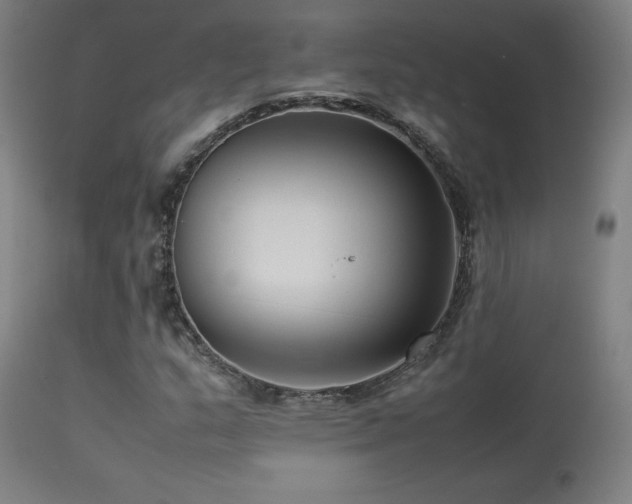 X0000113371159200909221216