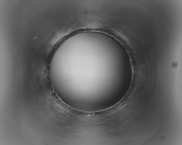 X0000113371160200909221216