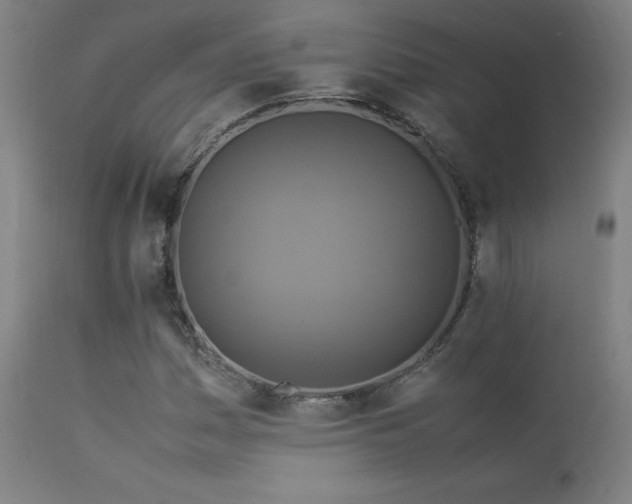 X0000113371161200909221216