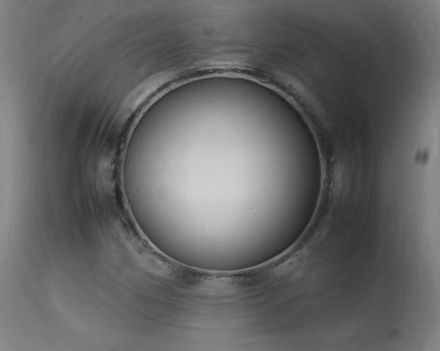 X0000113371162200909221216
