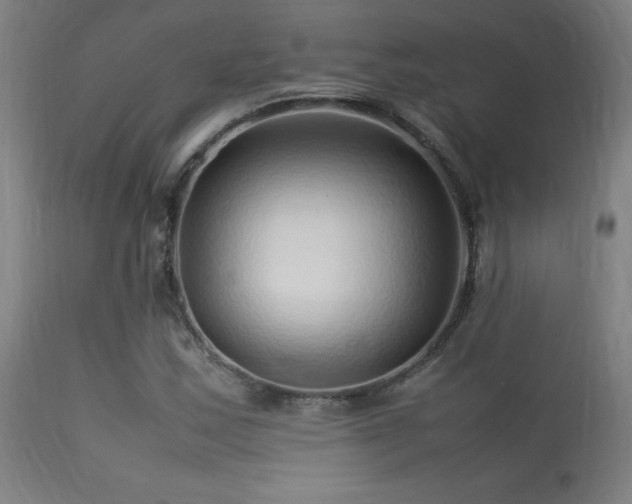 X0000113371163200909221216