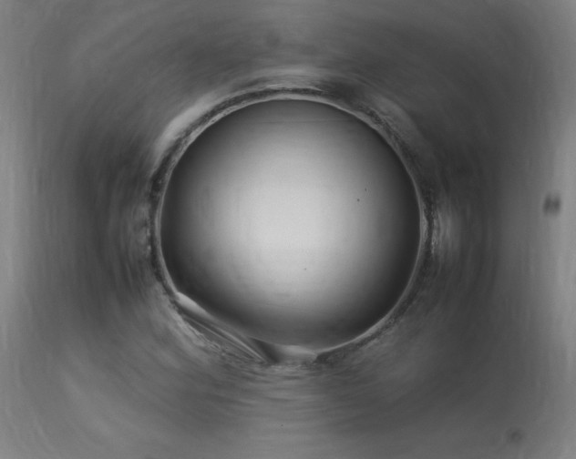 X0000113371164200909221216