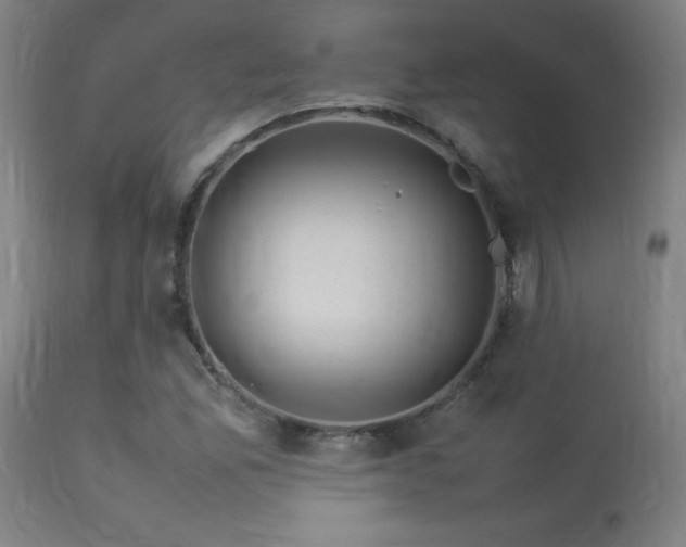 X0000113371165200909221216