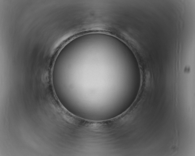 X0000113371166200909221216