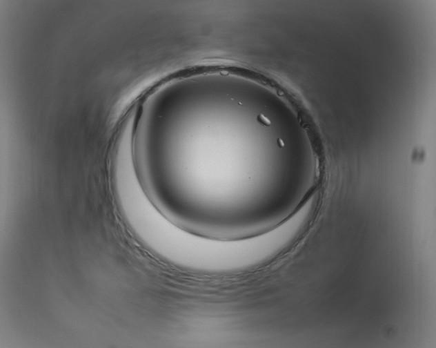 X0000113371167200909221216