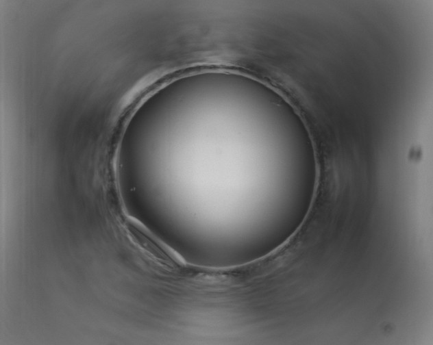 X0000113371168200909221216